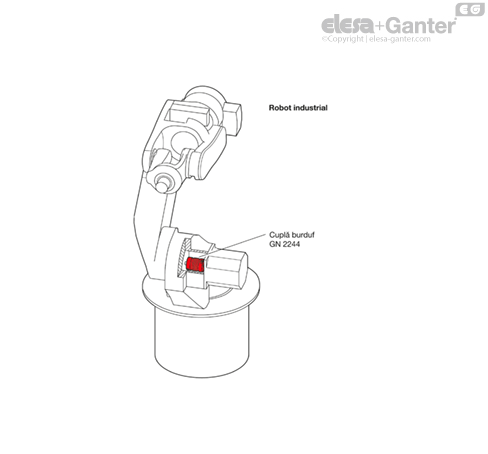 MD2244_AN-36715-0_RO