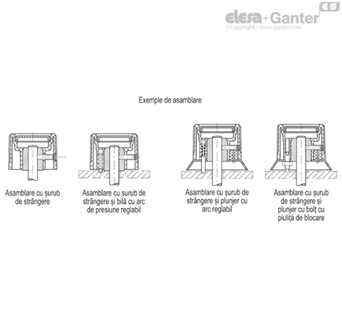 IZN_381_ACC_EXAMPLE_RO