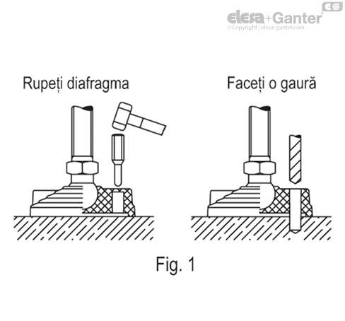 BASE_LS_A_LV_A_LV_F_ACC_RO