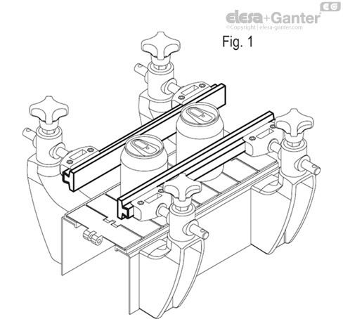 GLP_ACC_EXAMPLE_1_RO