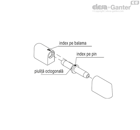 CFN_ACC_ASSEMBLY_2_RO