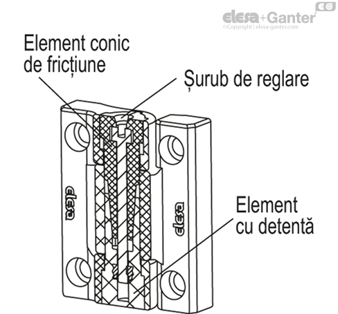 CFU_RA_ACC_EXAMPLE_RO