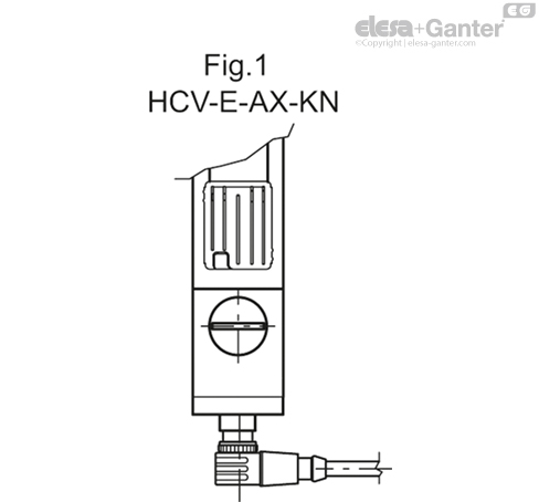 HCV_E_AX_FIG1_RO
