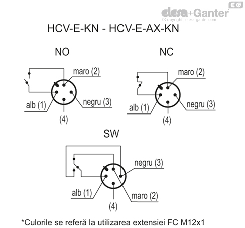 HCV_E_KN_ACC_CONT_RO