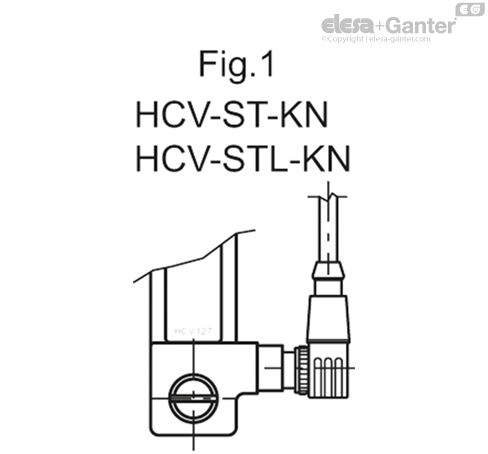 HCV_S_FIG1_RO