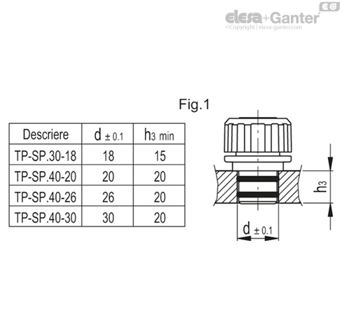 TP_SP_MOUNT_EXAMPLE_RO