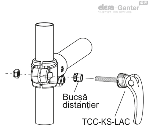 TCC_KS_ACC_EXAMPLE_LAC_RO